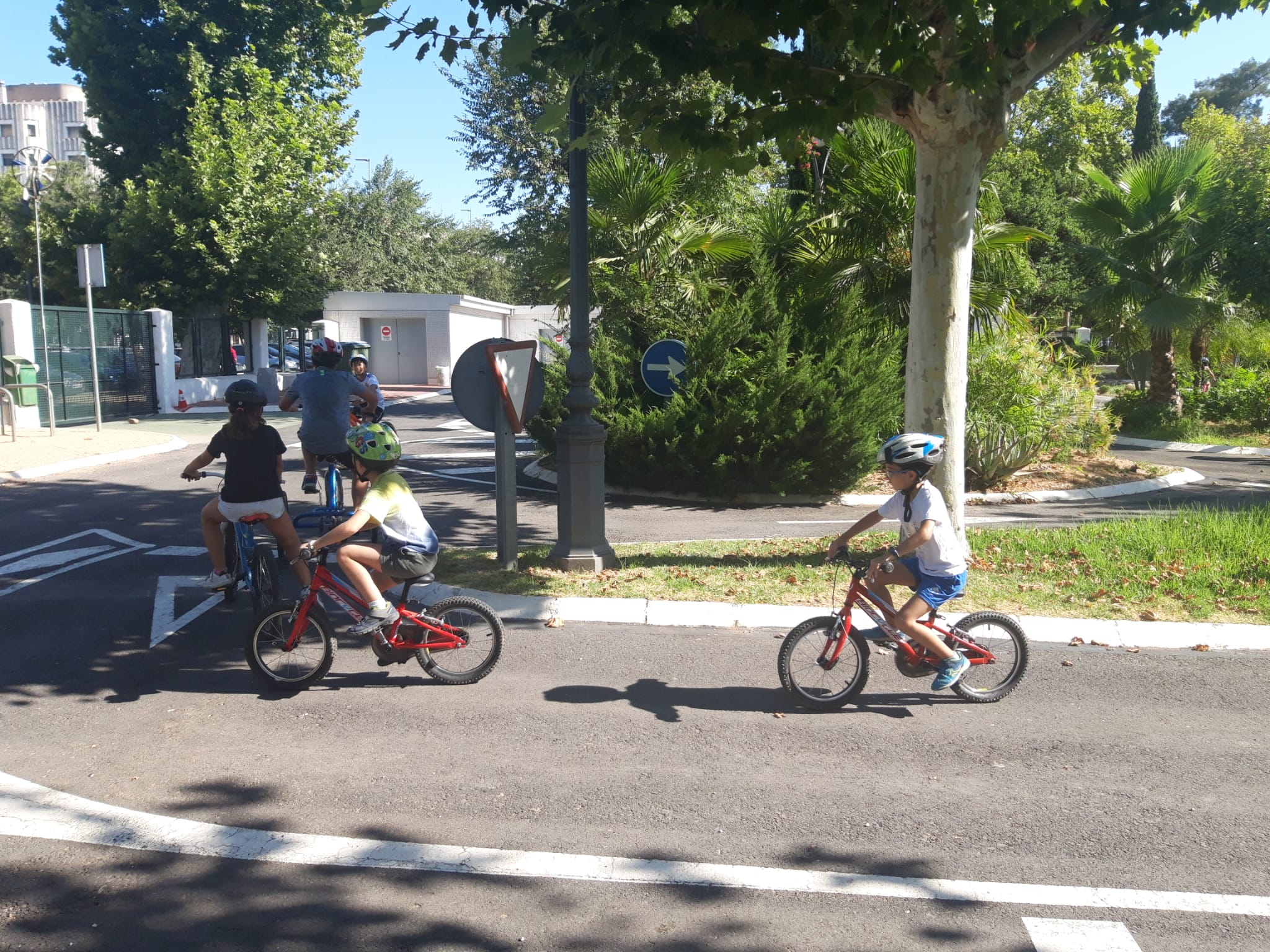 Escuela de Verano